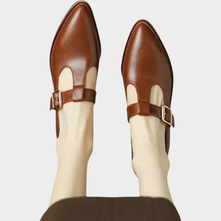 Women’s Mary Jane Shoes Casual Pointed Toe Low Block Heel