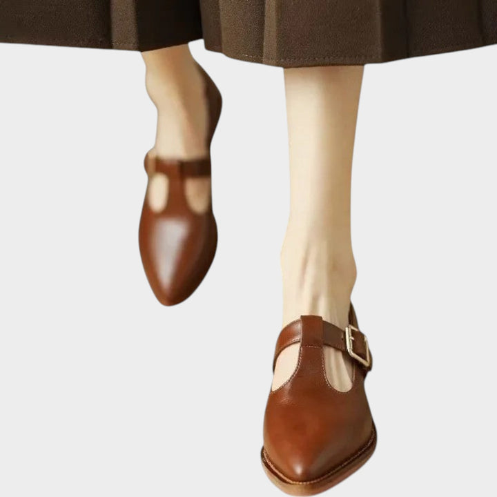 Women’s Mary Jane Shoes Casual Pointed Toe Low Block Heel