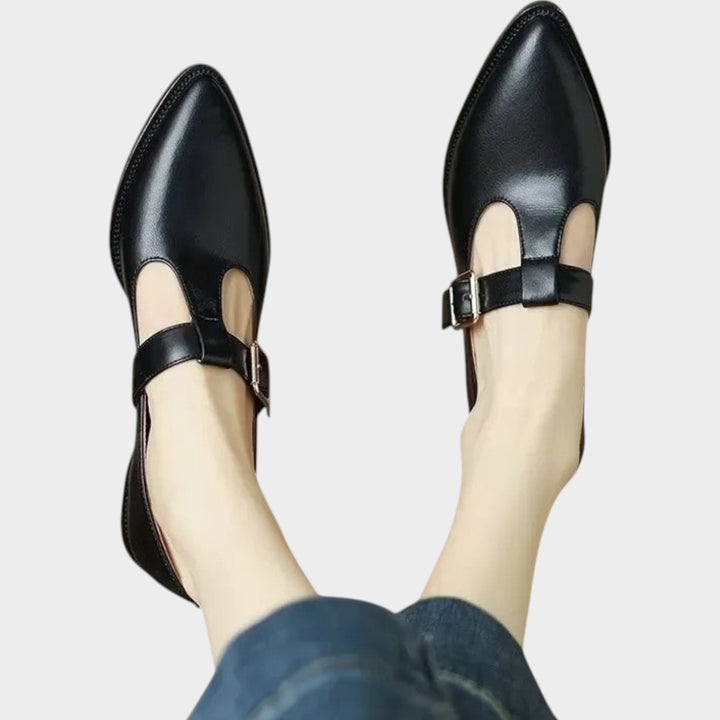 Women’s Mary Jane Shoes Casual Pointed Toe Low Block Heel