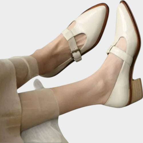 Women’s Mary Jane Shoes Casual Pointed Toe Low Block Heel