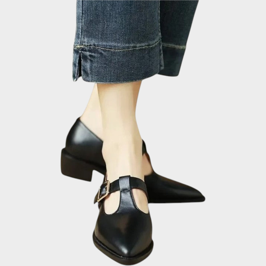 Women’s Mary Jane Shoes Casual Pointed Toe Low Block Heel