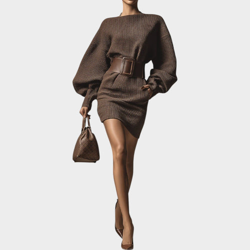 Women's Sweater Dress Mini Long Sleeve Belted